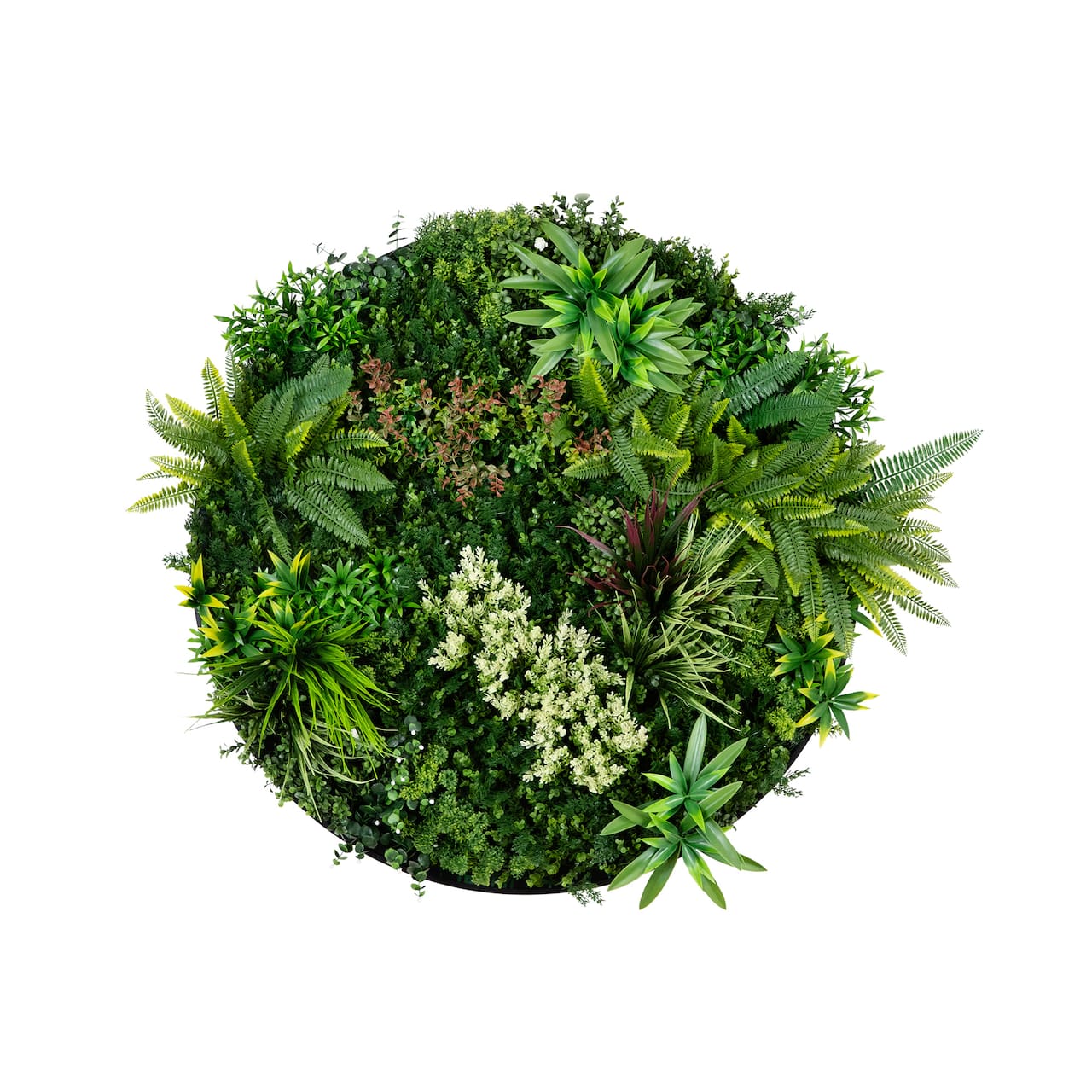 38" Framed Amazon Rainforest Artificial Living Wall Art Panel